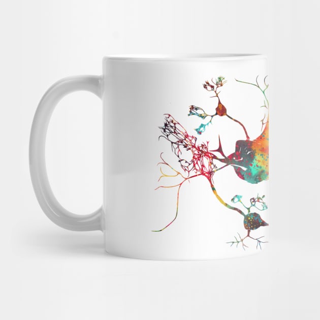 Neurons and nervous system by erzebeth